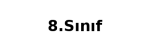 8.Sınıf